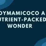 Soymamicoco A Nutrient-Packed Wonder